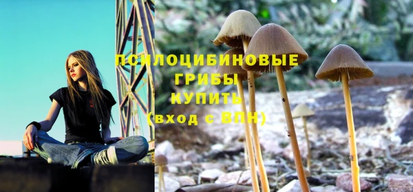 не бодяженный Сафоново