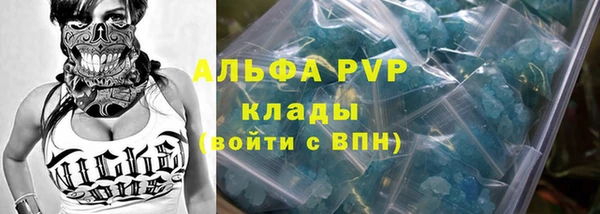 apvp Алзамай